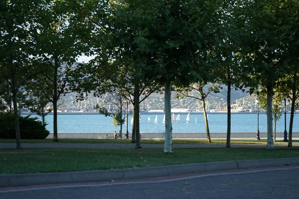 整備された公園の木々の間からは 山々や美しい青い海を背景に白い帆船が見えます — ストック写真