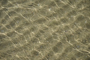 Temiz şeffaf deniz suyu, parlak güneşten gelen küçük dalgalar ve parıltılarla kumlu deniz tabanını ve küçük deniz kabuklarını görebilirsiniz.