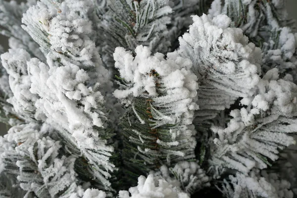 Abstrakter Hintergrund Von Schneebedeckten Zweigen Eines Weihnachtsbaums Stockbild