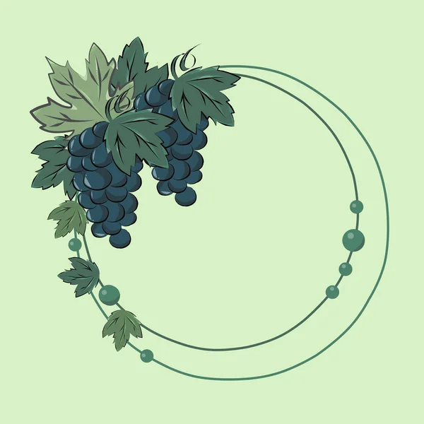 Kleur Illustratie Frame Van Druiven Druivenbladeren — Stockfoto