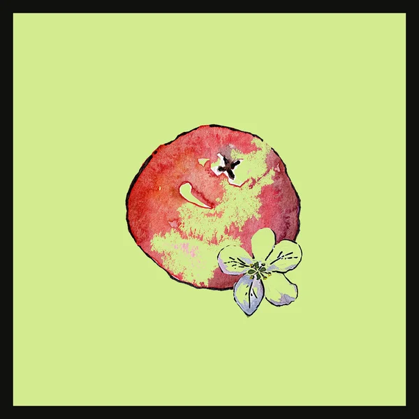 Illustration Aquarelle Une Pomme Sur Fond Vert Clair — Photo