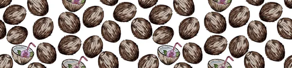 Illustrazione Acquerello Noci Cocco Metà Cocco Fondo Marrone — Foto Stock