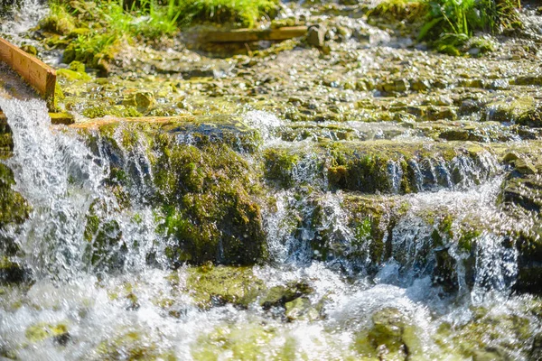 Cascada Fuente Pody Flora Cascada — Foto de Stock