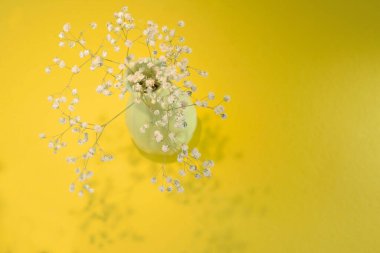 Narin küçük beyaz çiçekli küçük yeşil vazo