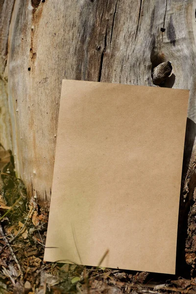 Boş el işi kağıtları yeşil çimenlerin ve sonbahar yapraklarının üzerinde yatar.