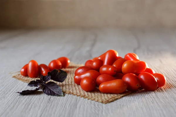 Pequenos Tomates Cereja Jazem Sobre Mesa Com Basel Roxo — Fotografia de Stock