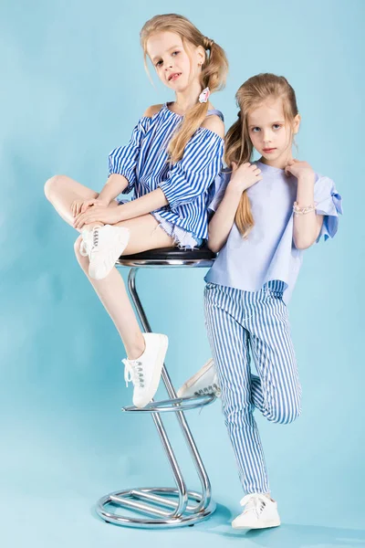 Дівчата близнюки в світло-блакитному одязі позують біля барного стільця на синьому фоні . — стокове фото