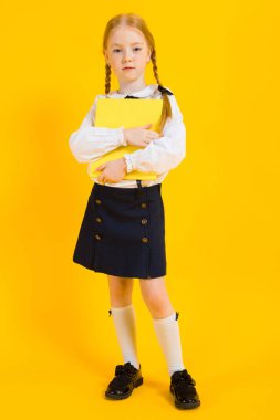 Sarı bir arka plan üzerinde kırmızı pigtails kız. Güzel bir kız bir klasör belge tutuyor.