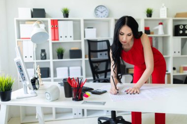 Güzel bir genç kız bir Ofis Masası duruyor. Kız belgeler, hesap makinesi ve bilgisayar ile çalışır.