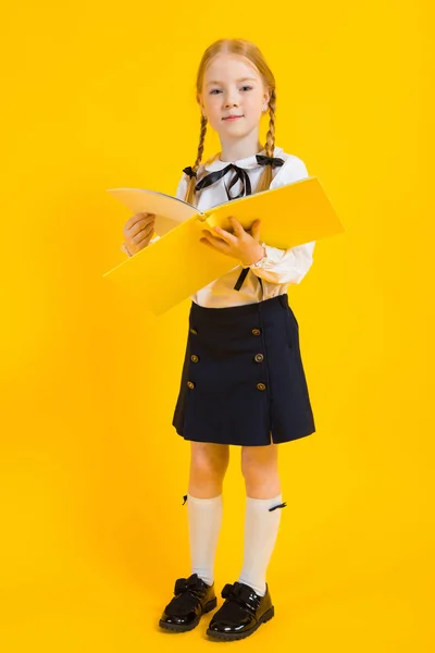 Dziewczyna z warkoczykami czerwony na żółtym tle. Piękna dziewczyna przewija folder z dokumentów. — Zdjęcie stockowe