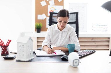 Bilgisayar ofiste çalışan bir genç kız.