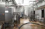 Sýrařské zařízení sýr tovární zázemí