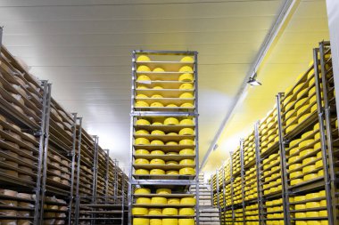 Peynir peynir fabrikası'nda büyük raflar