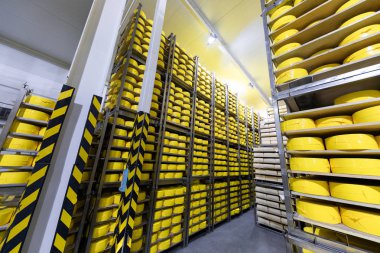 Peynir, peynir sanayi rafları
