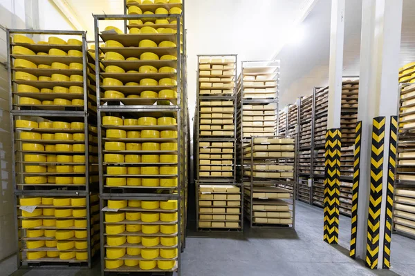 Peynir peynir depo raflar