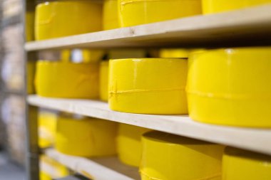 Peynir yapma üretim depolama