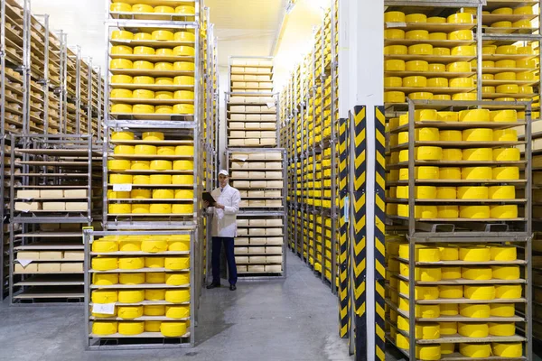 man with a tablet in his hands is in a warehouse of cheeses
