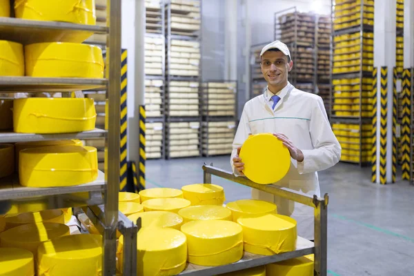 Homem em um manto branco com uma cabeça de queijo em suas mãos está em um armazém de queijo — Fotografia de Stock