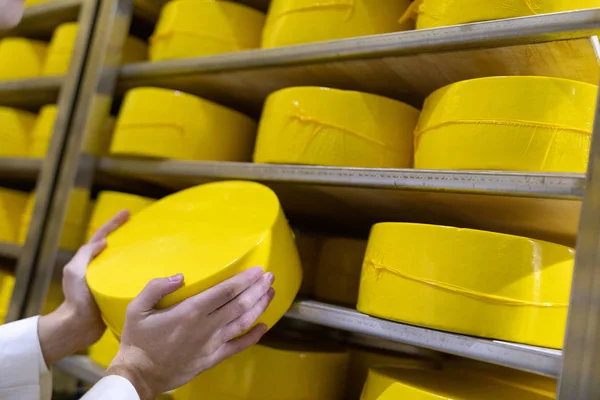 Testa di formaggio in mano maschile brodo — Foto Stock