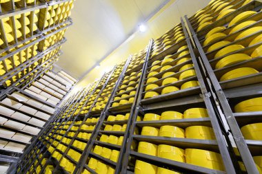 Peynir, peynir depolama arka plan ile raflar