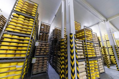 Peynir deposunda peynirli raflar