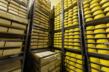 Peynir ambar. Peynir raf açı