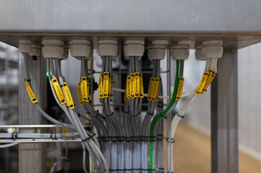Elektrik kablolar closeup demet. Küresel iletişim ağları mümkün demetleri. Temiz görünüm elektrik kabloları ağa takılı ve etiketlerle işaretlenmiş