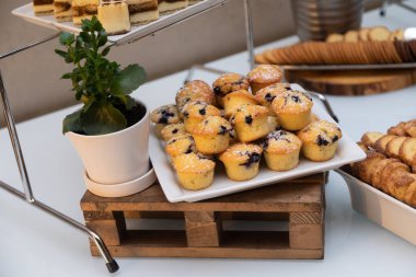 Restoranda masaya küçük aperatifler