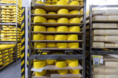 peynirli bir peynir depo raflar yakın çekim