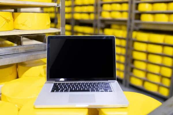 Laptop met leeg scherm op gele kaas hoofden close-up. kaas kamer — Stockfoto