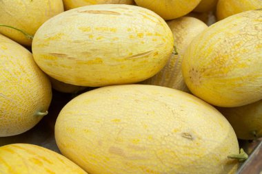 Arka plan için parlak sarı honeydew kavun meyve yakın çekim