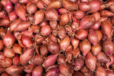 Ham baharatlı kırmızı arpacık arka plan, havadan görünümü