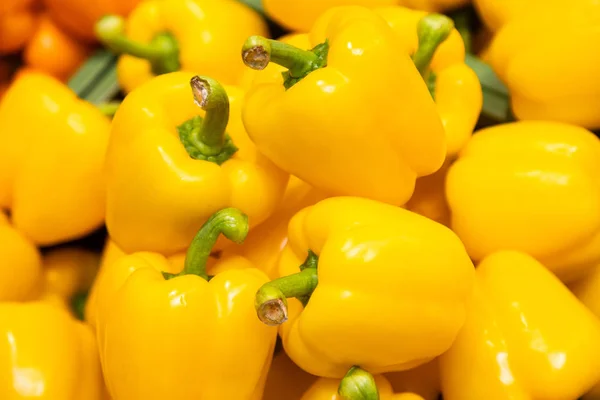 Bunch of yellow peppers in farmers market or grocery store. Vegetable background. Spicy and sweet plant for sustainable diet.