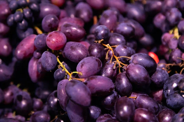 Lezzetli kokulu egzotik berry yakın çekim, siyah üzüm arka plan