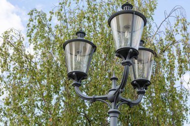 Yeşil ağaç ve gökyüzüne karşı bir sütun üzerinde üç siyah sokak lambaları yakın çekim