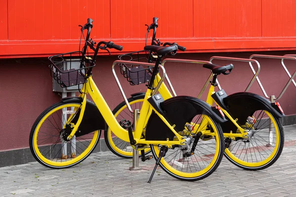 Aparcamiento compartido de bicicletas, sistema de transporte urbano, protección del medio ambiente — Foto de Stock