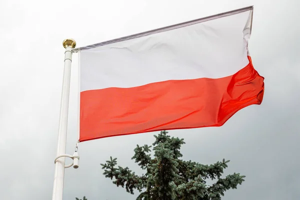 Vlag van Polen op een flagstuff in de voorkant van de hemel — Stockfoto