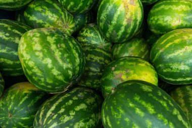Çiftçi nin market veya bakkal çizgili taze olgun yeşil karpuz arka plan