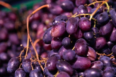 Arka plan için siyah taze hasat üzüm brunch, sulu berry yakın çekim.