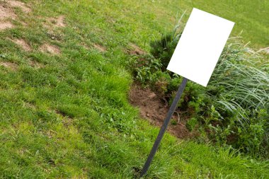 Yeşil çimlerin üzerinde duran sağ köşeli boş tablet