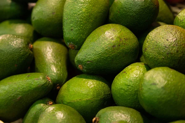 Közelkép Zöld Érett Kadét Vajas Egzotikus Gyümölcseiről Fénykép Mélysége Mező — Stock Fotó