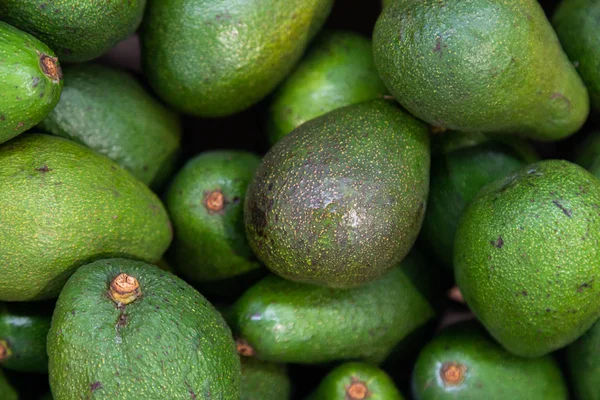 Érett Zöld Avokádó Csomó Lehet Használni Guacamole Főzés — Stock Fotó