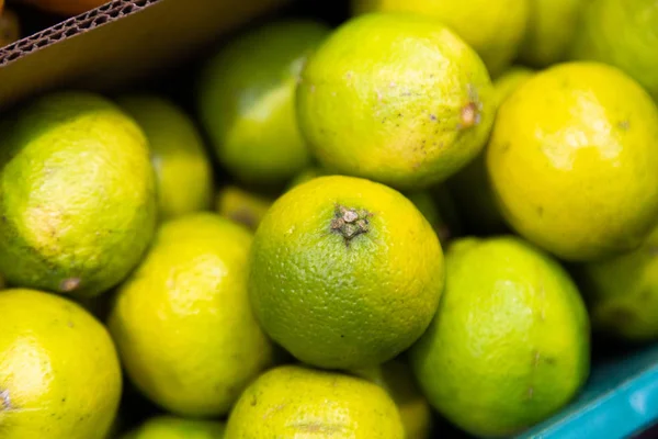 Színes Háttér Frissen Szedett Szezonális Élénkzöld Lime Citrus Egzotikus Gyümölcsök — Stock Fotó