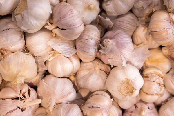 Spicy Begetable Meat Other Meal Garlic Shell — Stock Photo, Image