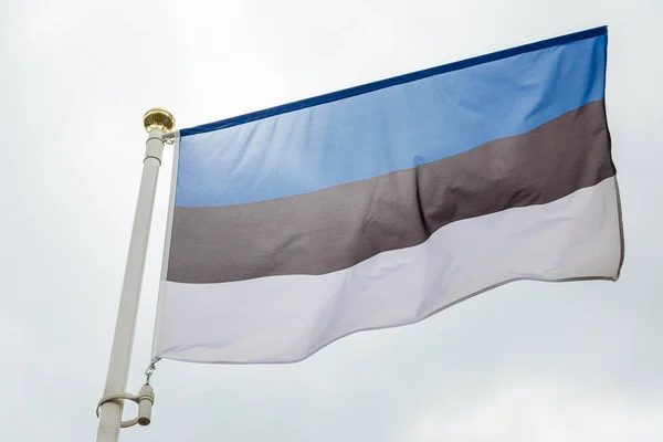 Bandera Estonia Ardía Cielo Blanco —  Fotos de Stock