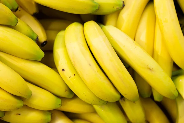 Plátanos Cavernícolas Orgánicos Crudos Para Venta Mercado Temporada Rico Vitaminas —  Fotos de Stock
