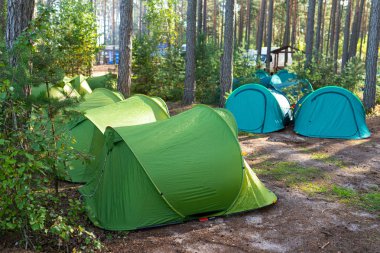 Ormanda kamp çadırı.