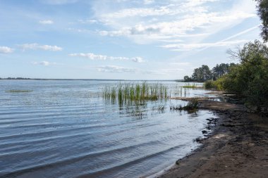 Nehir ve ağaçlarla dolu güzel bir manzara