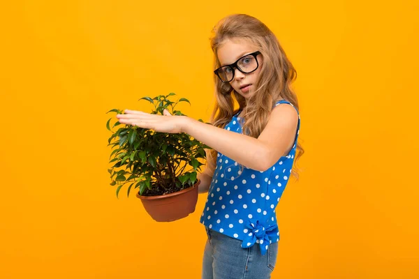 Kleines Mädchen Posiert Mit Blumentopf Vor Orangefarbenem Hintergrund — Stockfoto