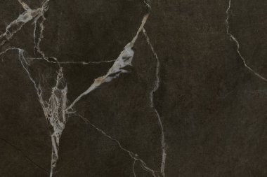 Bu koyu mermer yüzey, karmaşık beyaz damarlar sergiliyor ve karmaşık bir dokunuş ekliyor. Masa üstleri ya da döşemeler için idealdir. Her odanın ya da uzayın güzelliğini arttırır..